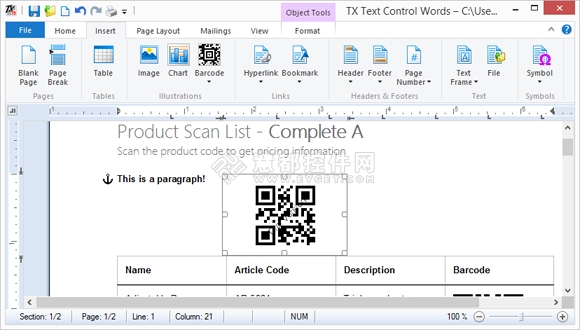TX Text Control .NET,锚位,控制字符