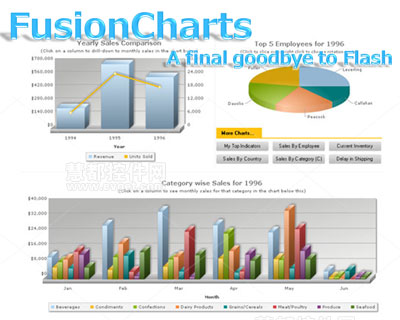 FusionCharts将取消Flash版 变为纯粹的Javascript图表控件