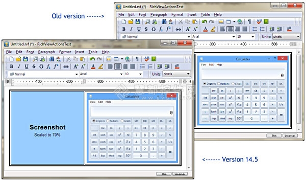 TRichView 14.5,缓存,富文本编辑器