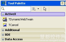 在Delphi XE2中使用Dynamic Web TWAIN