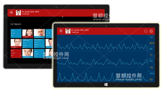 Essential Studio for WinRT (XAML)
