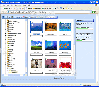 Aurigma Image Uploader的ActiveX \/ JAVA图像
