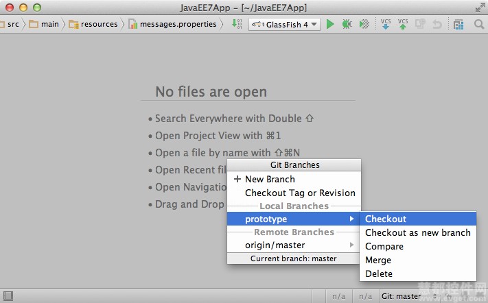 IntelliJ IDEA分支机构