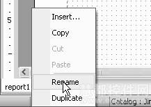 JReport Designer制作标准报表