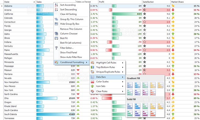 【DevExpress v14.2新版亮点】WinForms Data Grid控件升级