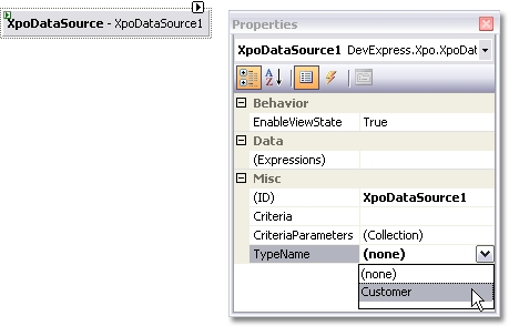 XpoDataSource Typename