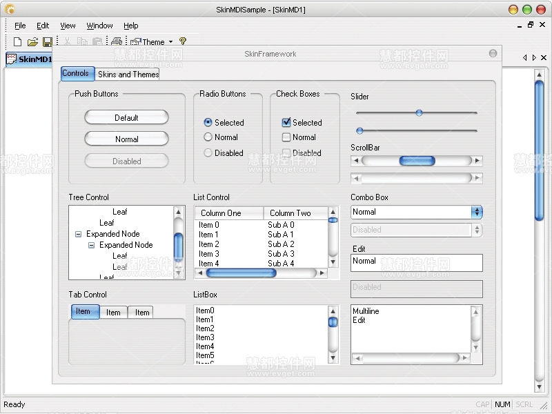 Xtreme Skin Framework Office皮肤 MDI