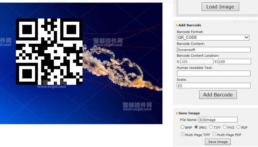 如何在Web应用程序中添加一个条形码图像？