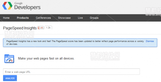 PageSpeed Insights