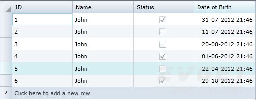 C1DataGrid for WPF使用技巧之改变CheckBox列的外观