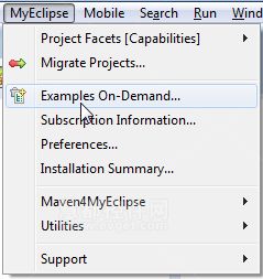 Demand上的MyEclipse示例