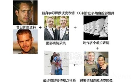 速度与激情