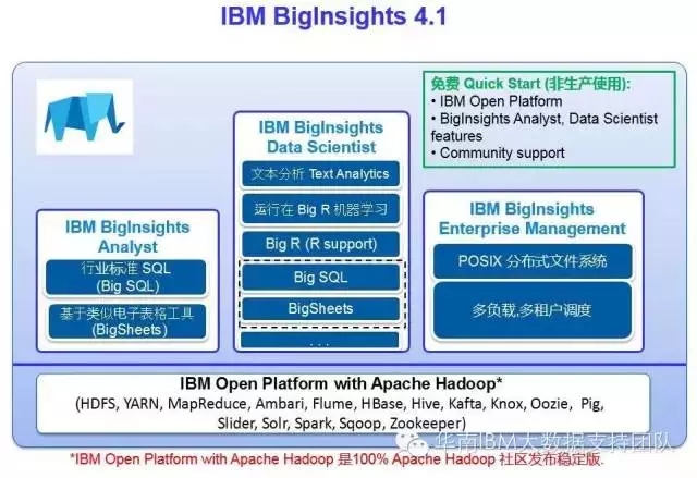 biginsight