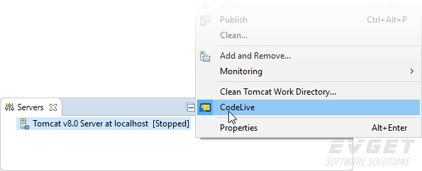 Servers View Context-Menu Live Preview CodeLive