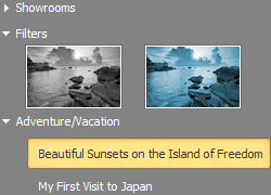 WinForms Context Menus 和 Alert Windows 