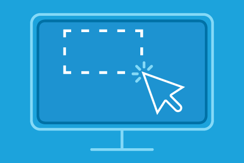 Web Forms and MVC Development