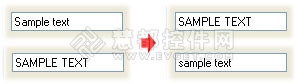 DXperience Winforms,字符串格式,大小写转换,sample text