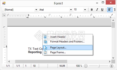 文字处理控件,TX Text Control X9,上下文菜单
