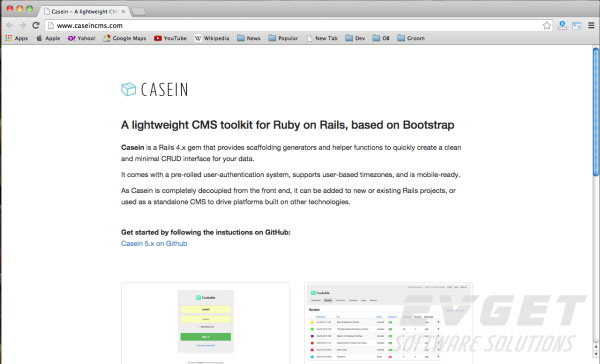 CaseIn CMS