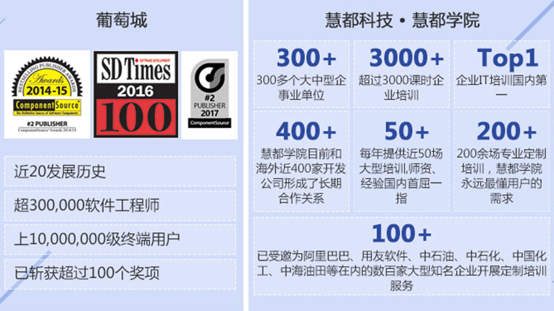 LeadTools企业定制培训