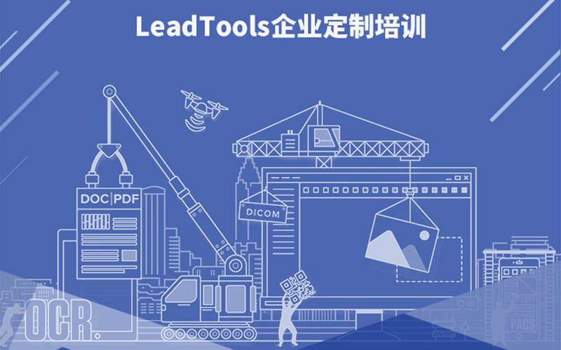 LeadTools企业定制培训