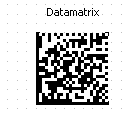 DataMatrix FastReport