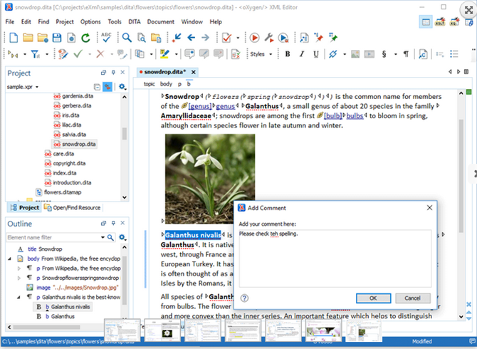 oXygen XML Editor