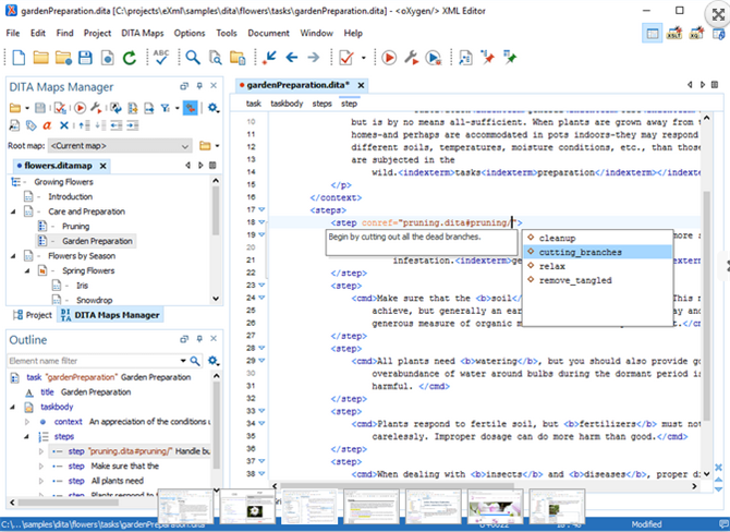 oXygen XML Editor