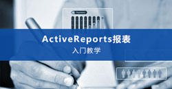 ActiveReport_video