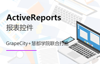 ActiveReport_video