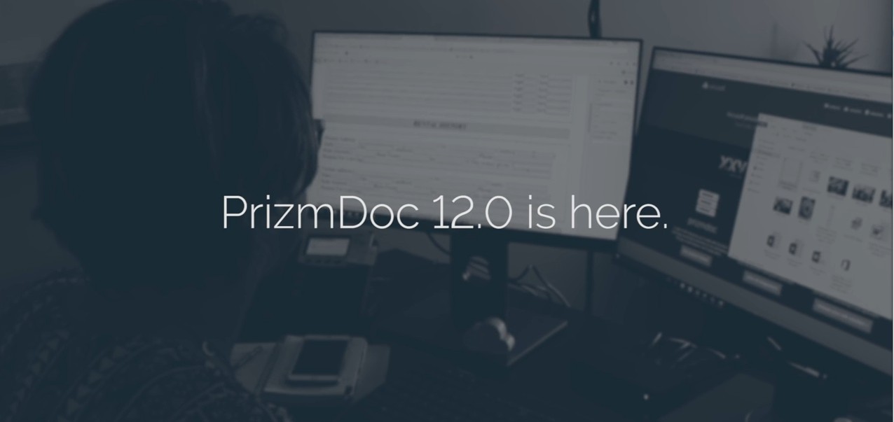 PrzimDoc大型文档查看和服务器搜索示例视频