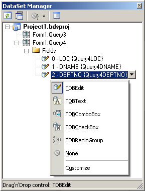 DataSet manager fields01