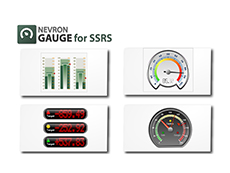 Nevron Gauge for SSRS