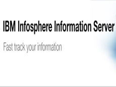 InfoSphere Information Server 授權(quán)購(gòu)買(mǎi)