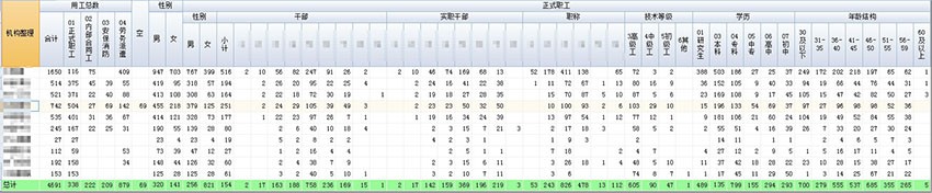 应用于各类统计报表的生成与展示