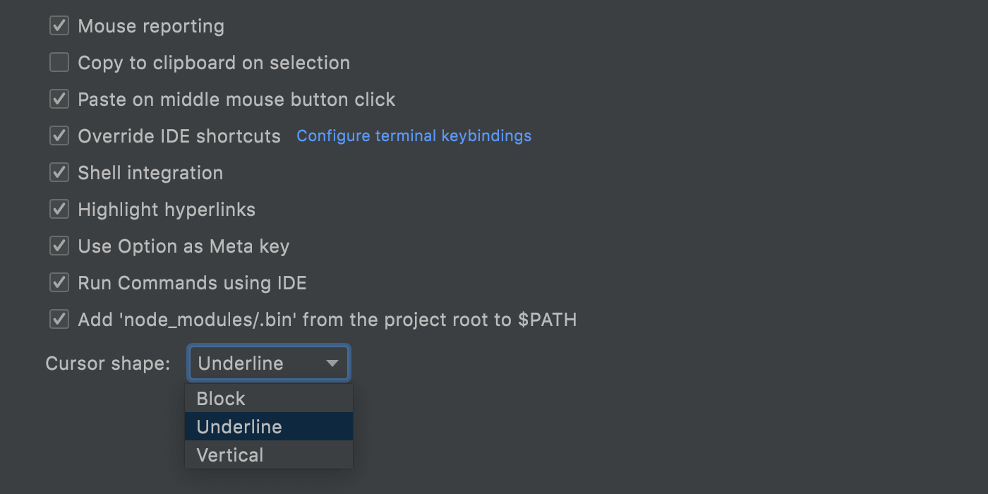 终端 webstorm 的新配置选项