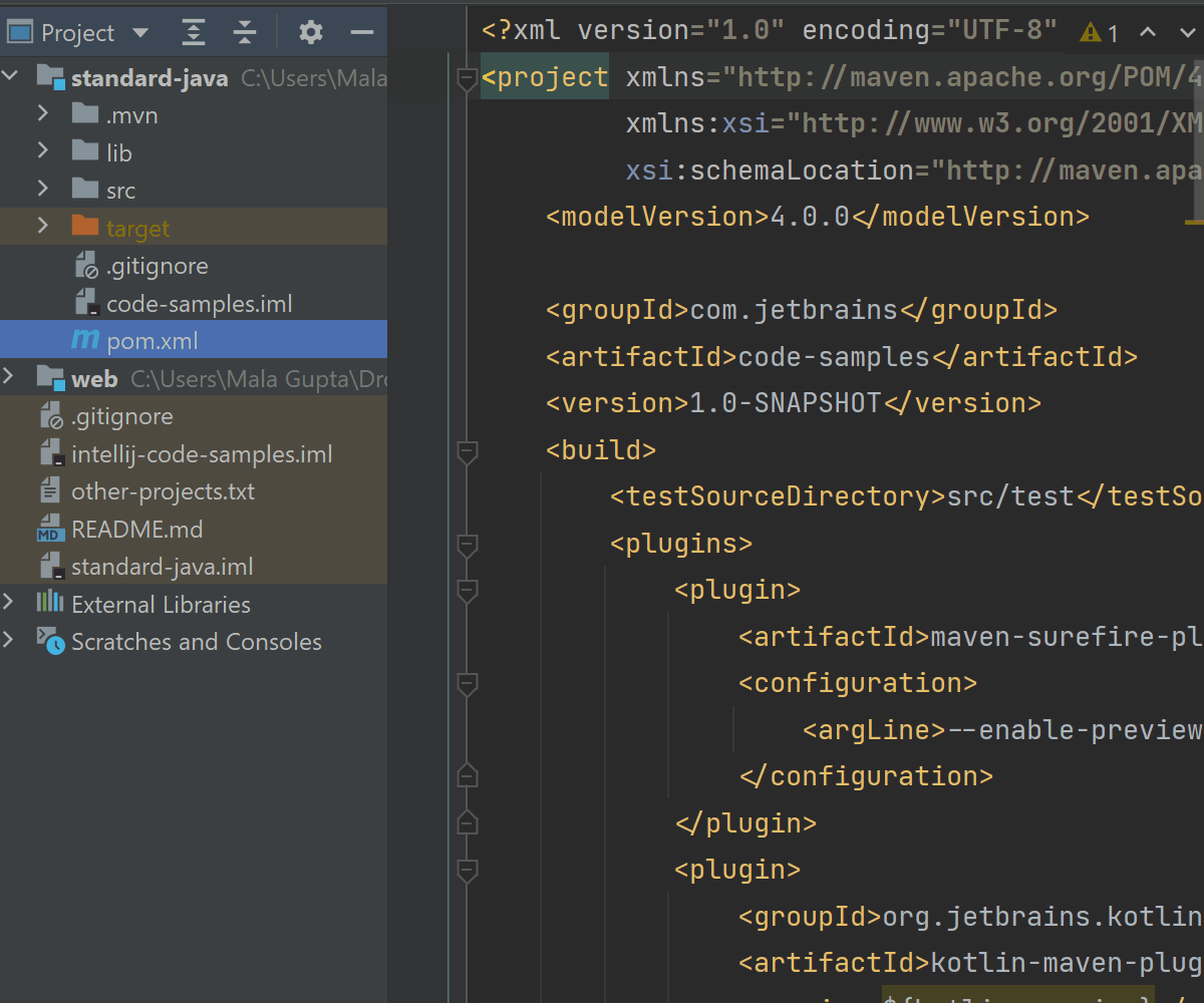 IntelliJ IDEA 2021详细教程：助你全面了解用于处理 Maven 的工具