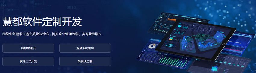 界面控件DevExpress WPF入门级教程：格式化值