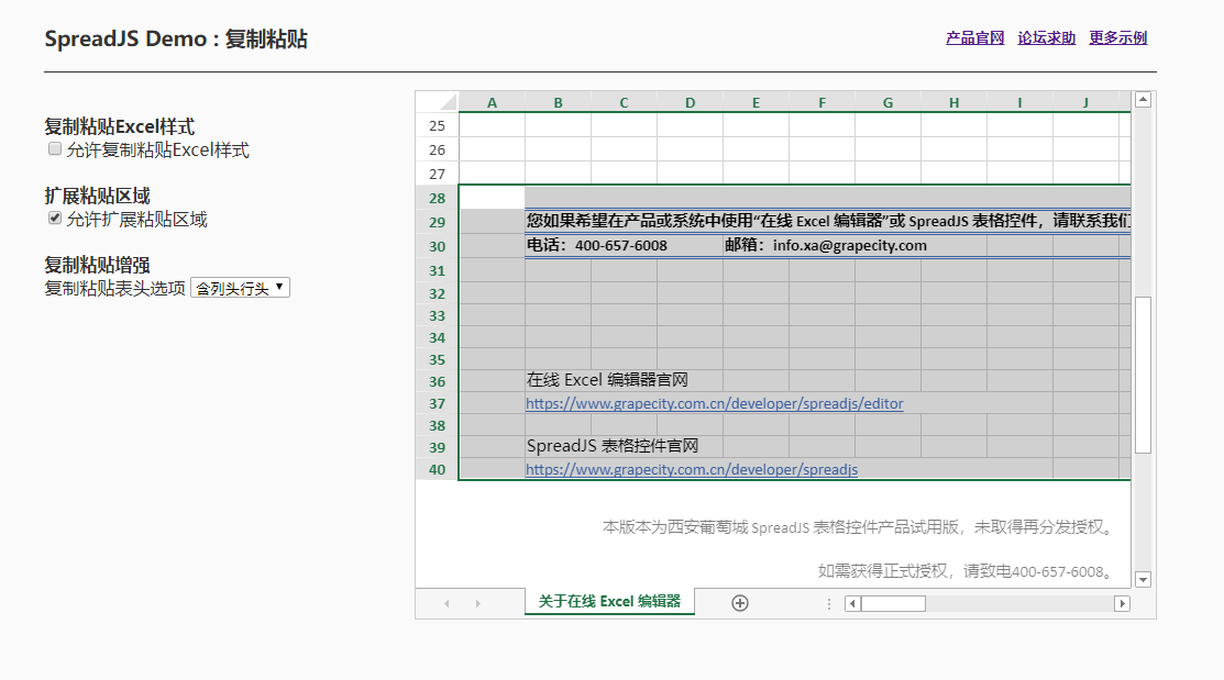 纯前端表格控件SpreadJS新手入门指南：复制粘贴