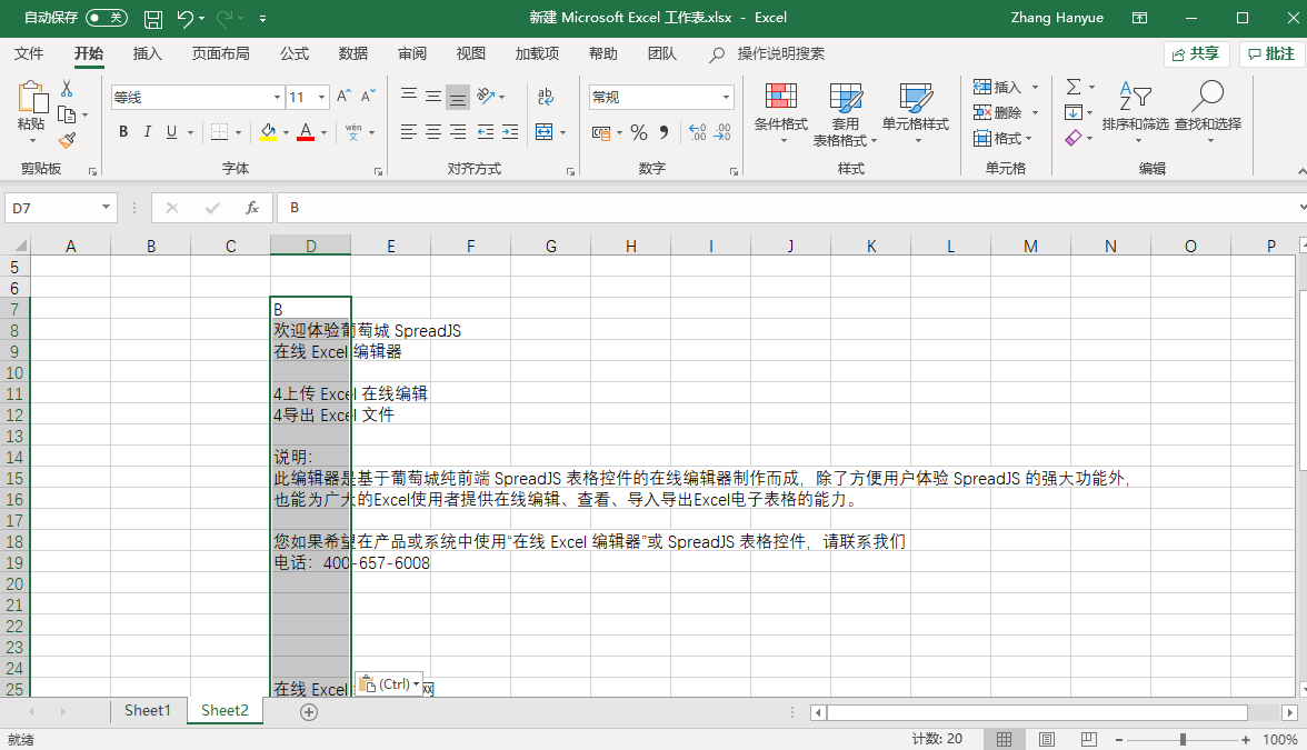 纯前端表格控件SpreadJS新手入门指南：复制粘贴