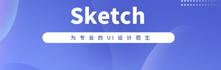 sketch最新下载