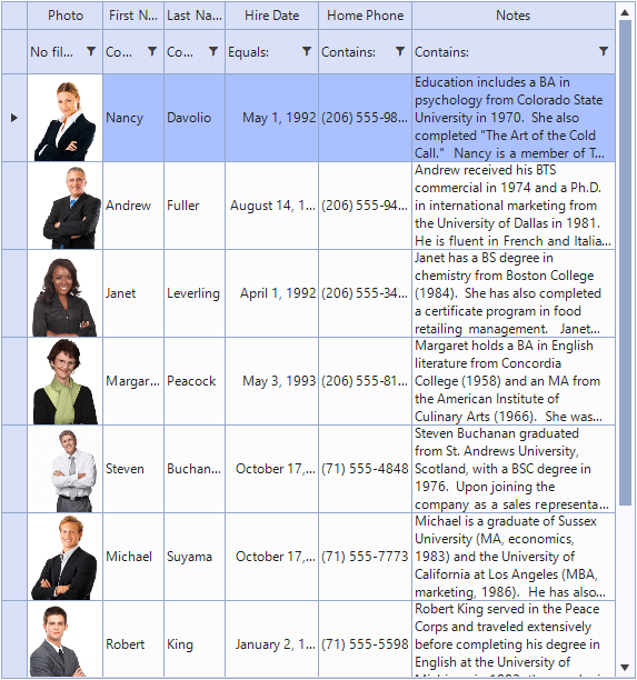 UI控件Telerik UI for WinForms新主题——VS2022启发式主题