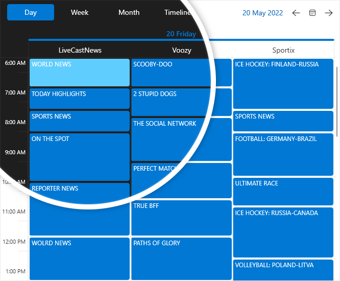 Telerik UI for WPF - windows 11主题图片