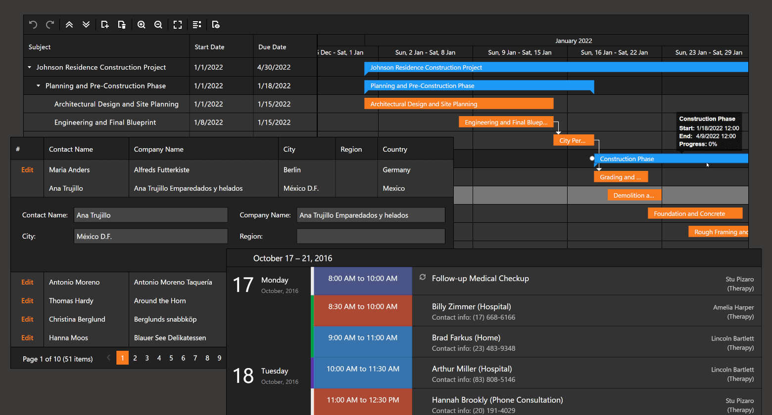 DevExpress ASP.NET暗黑主题图集