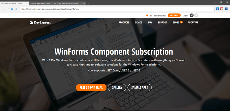 winforms tabbed