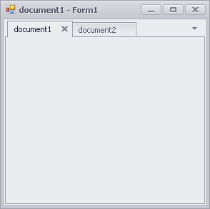 winforms document form1