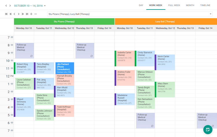 DevExpress ASP.NET Scheduler产品图集