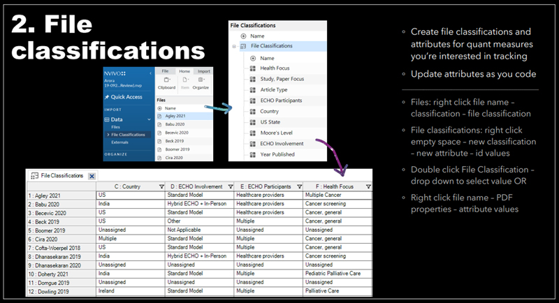 项目 ECHO 的 NVivo 文件分类