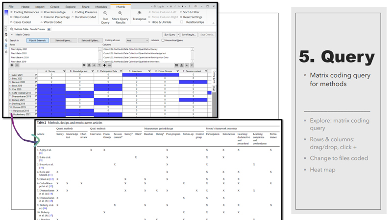 在 NVivo 中查询项目 ECHO