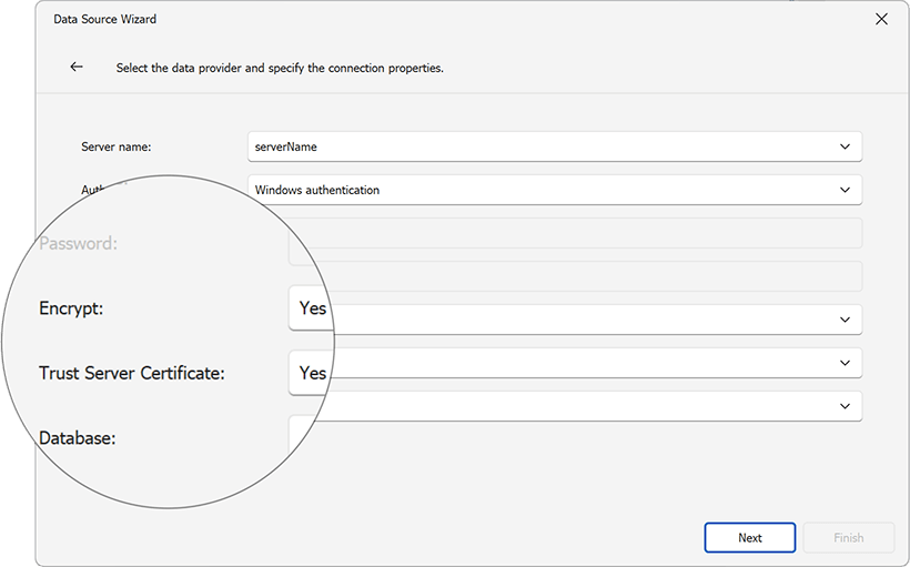 DevExpress Reporting v24.1产品图集